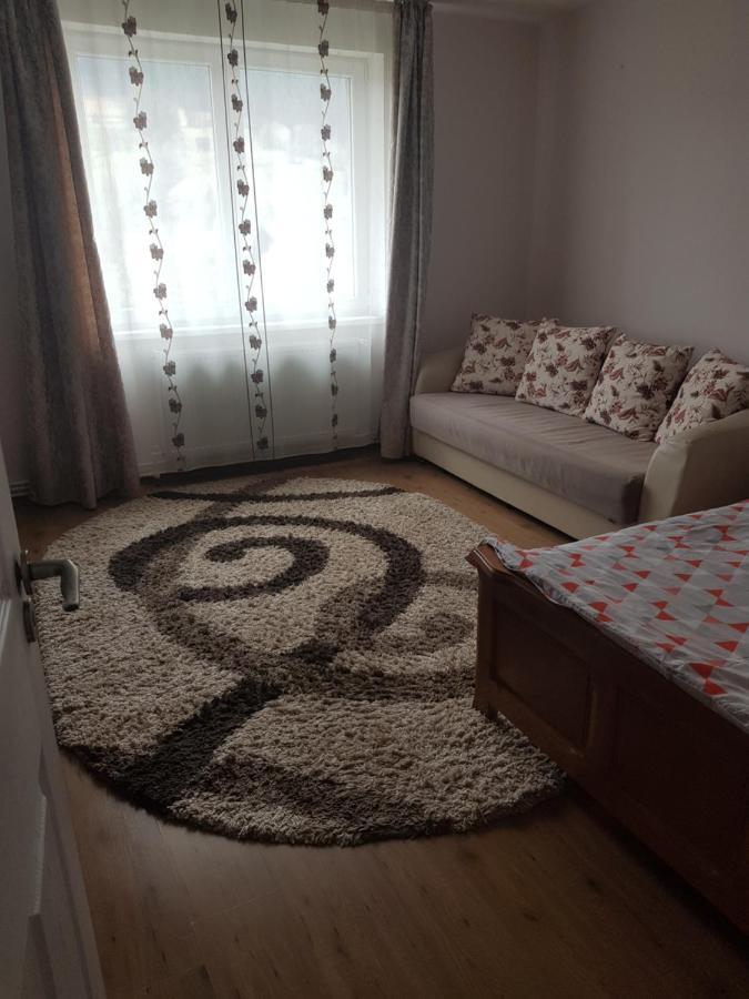 Апартаменты Garsoniera Emilia Кымпулунг-Молдовенеск Экстерьер фото